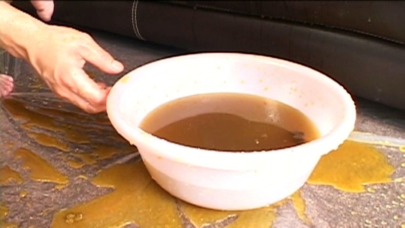 サンプル画像 9