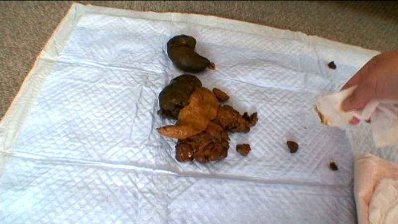 サンプル画像 10