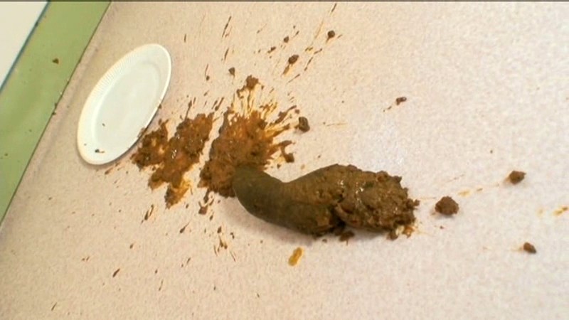 サンプル画像 7