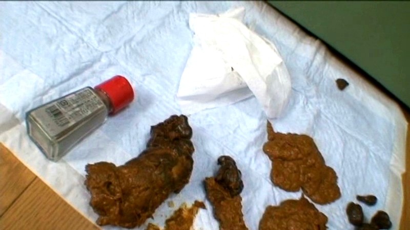 サンプル画像 10