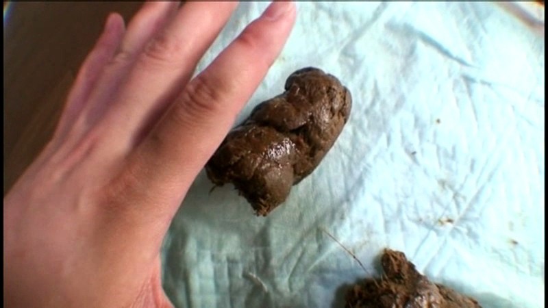 サンプル画像 12