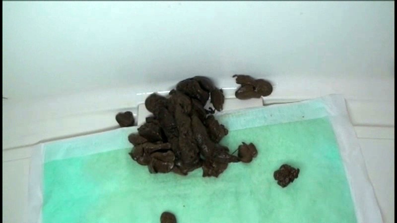 サンプル画像 6