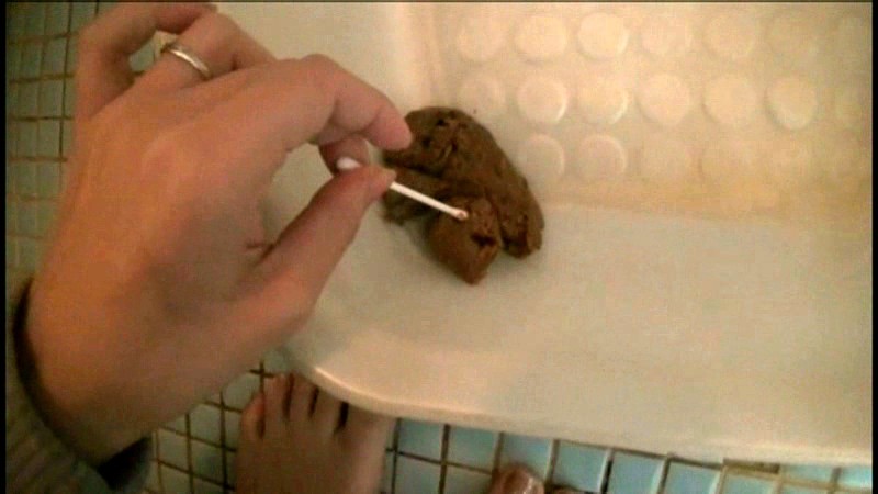 サンプル画像 5