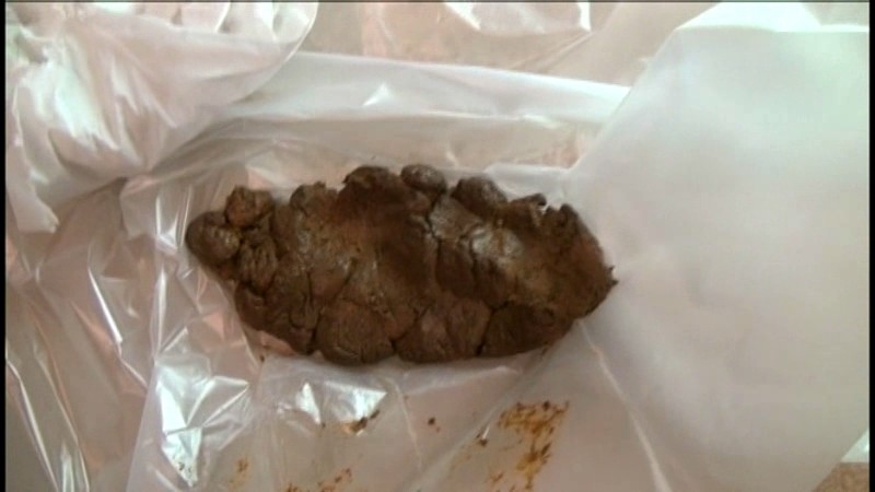 サンプル画像 17