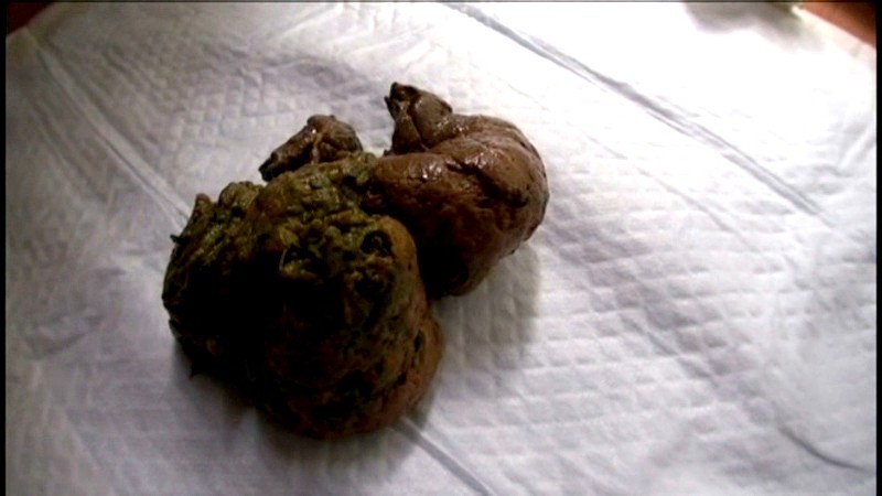 サンプル画像 17