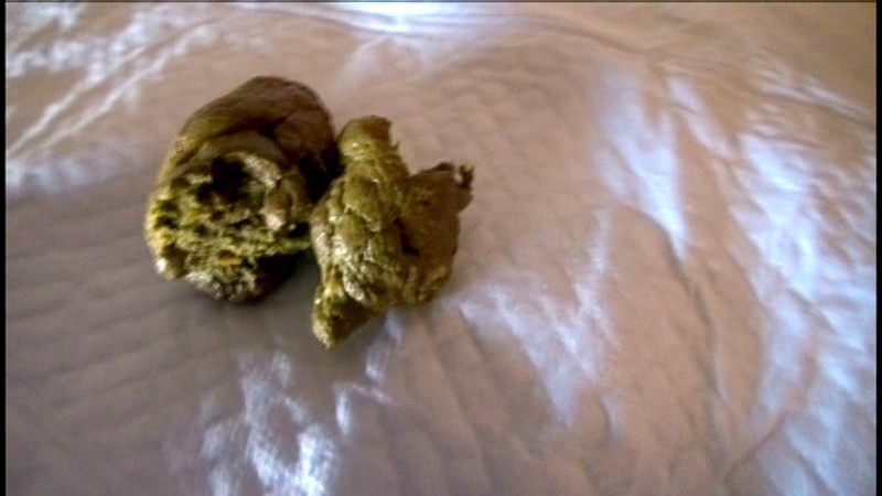 サンプル画像 3