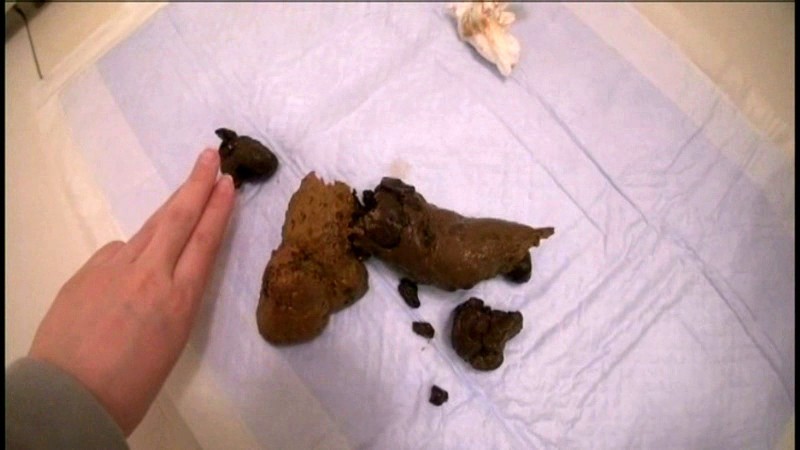 サンプル画像 8