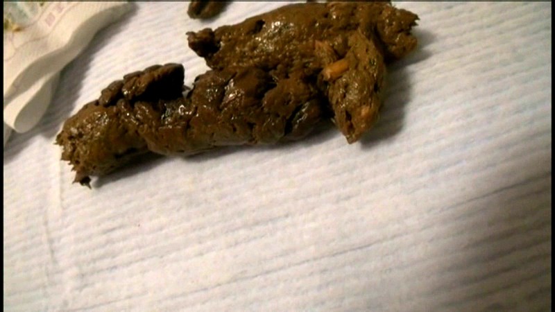 サンプル画像 19