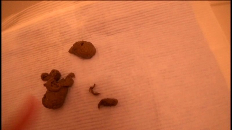 サンプル画像 21