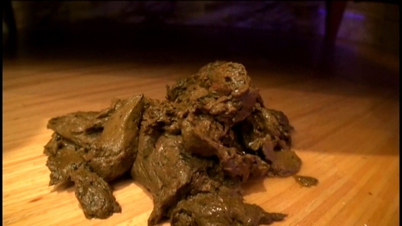 サンプル画像 14