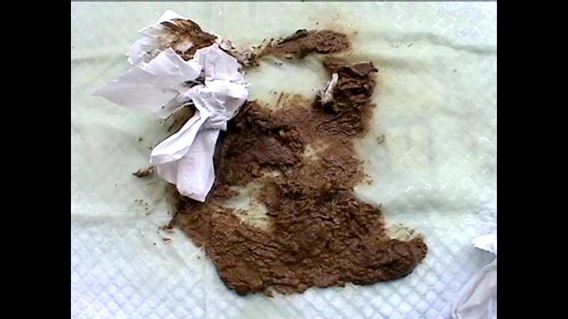 サンプル画像 6