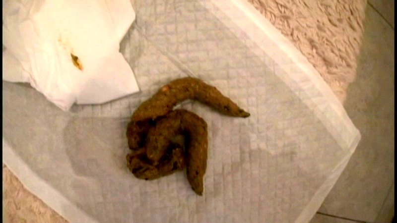 サンプル画像 12