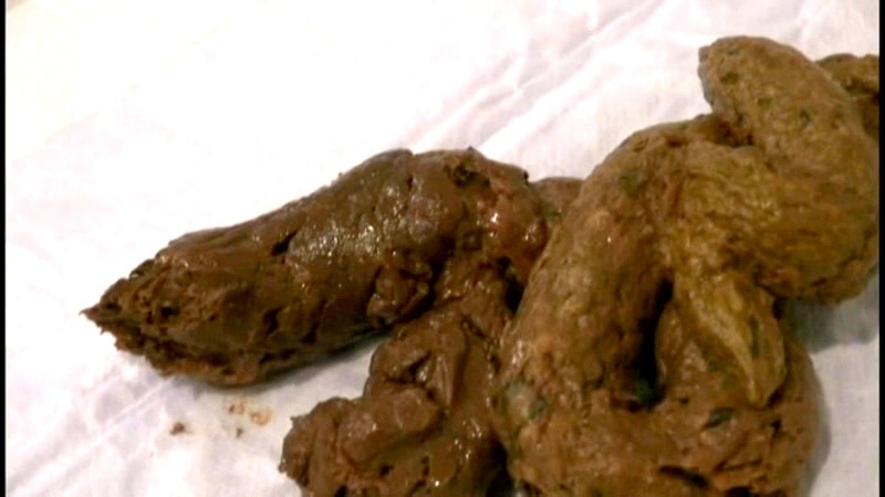 サンプル画像 21