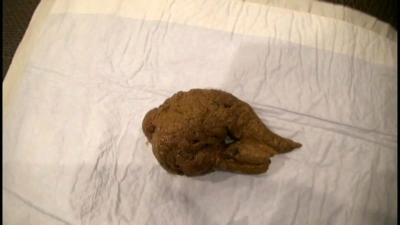 サンプル画像 8