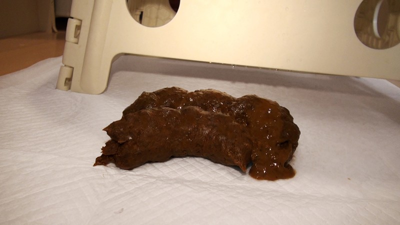 サンプル画像 11