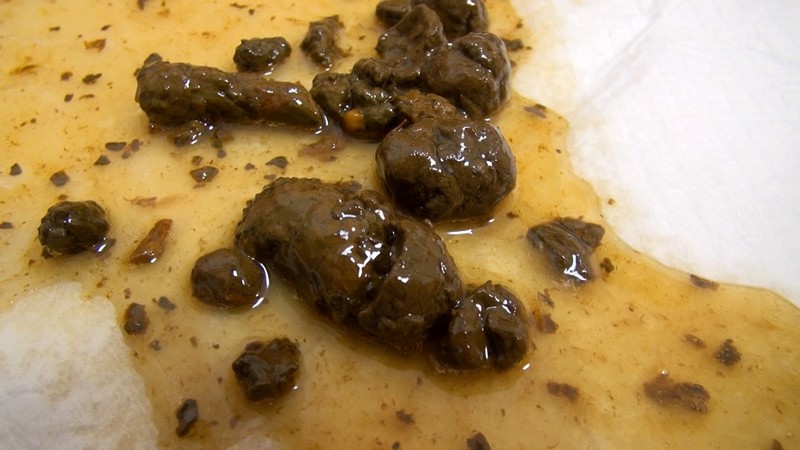 サンプル画像 9