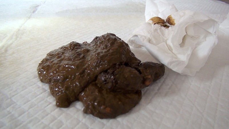 サンプル画像 17