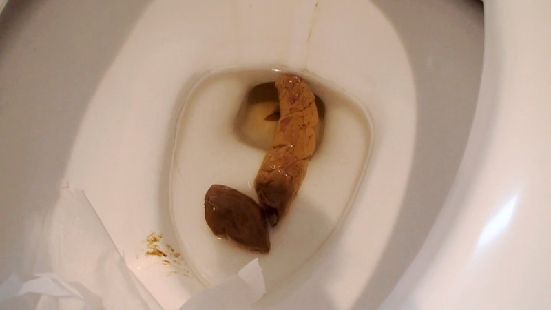 サンプル画像 6