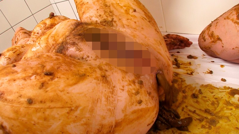 サンプル画像 17