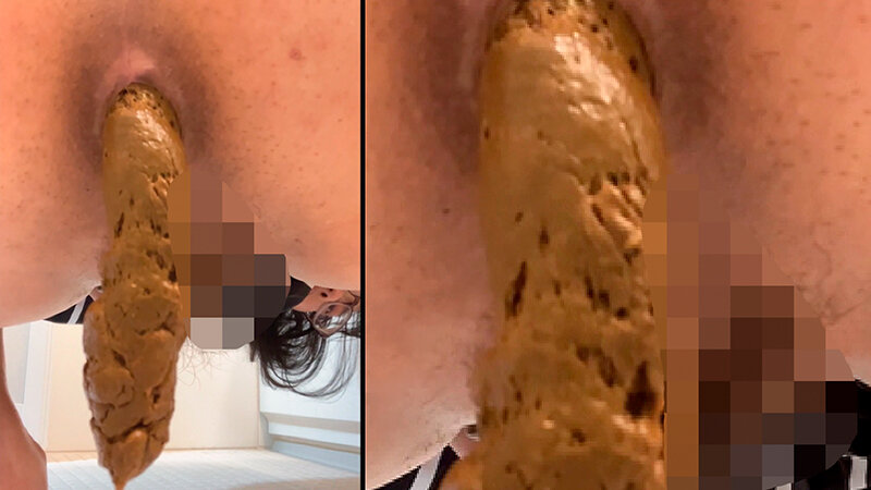 サンプル画像 11