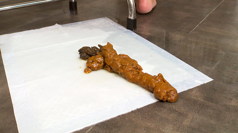 サンプル画像 5