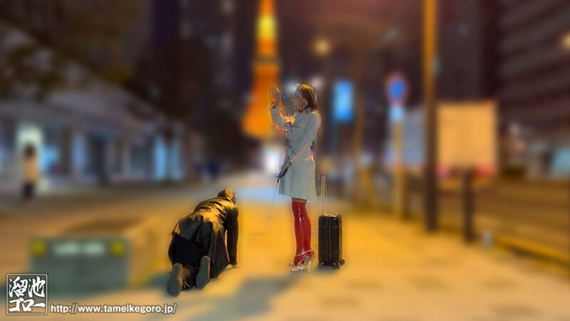 サンプル画像 17