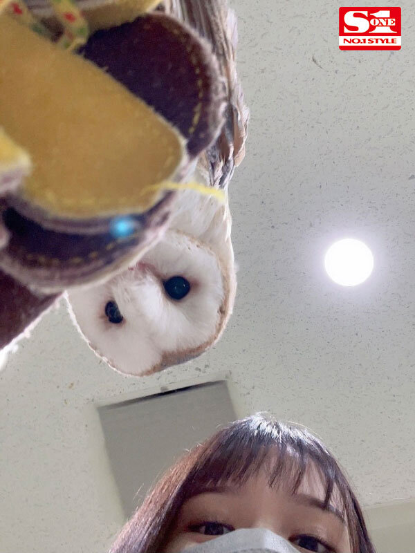 サンプル画像 11