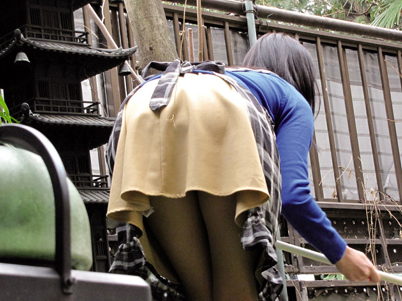 サンプル画像 14