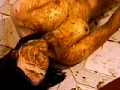 サンプル画像 38