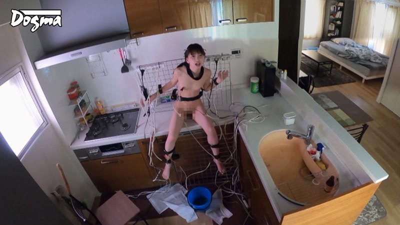 サンプル画像 17