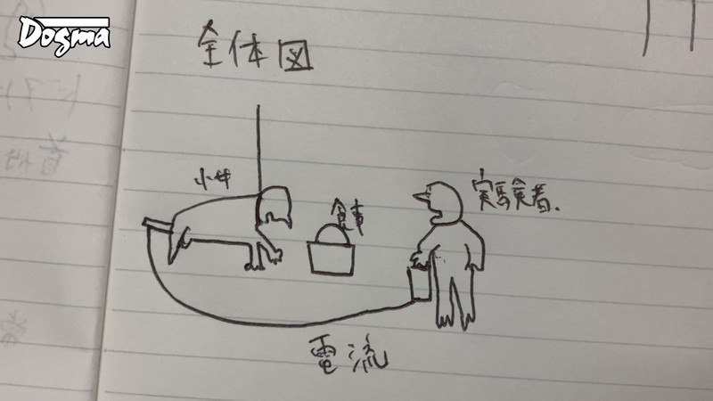 サンプル画像 3