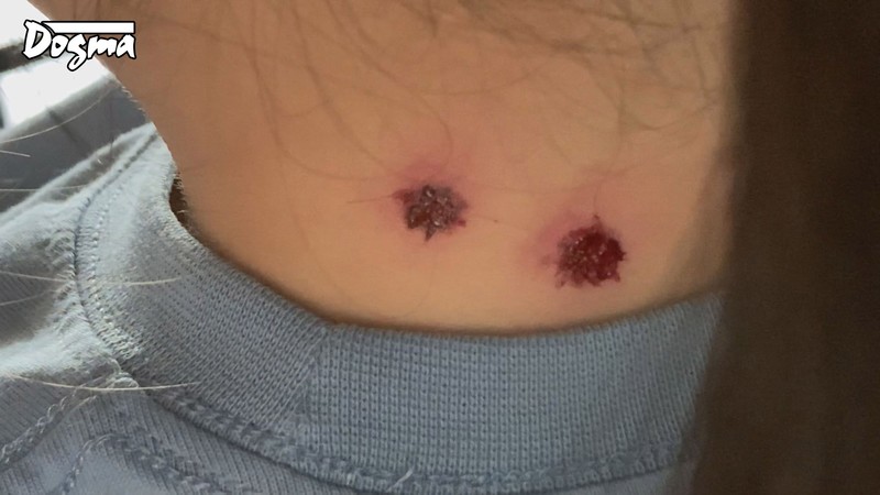 サンプル画像 6