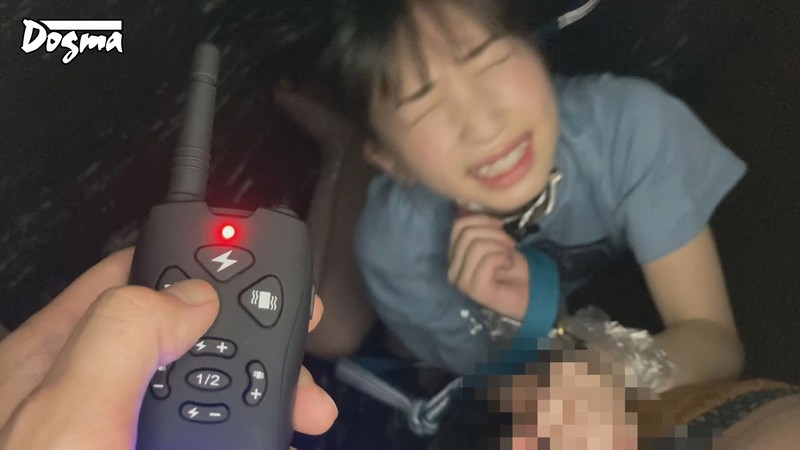 サンプル画像 9