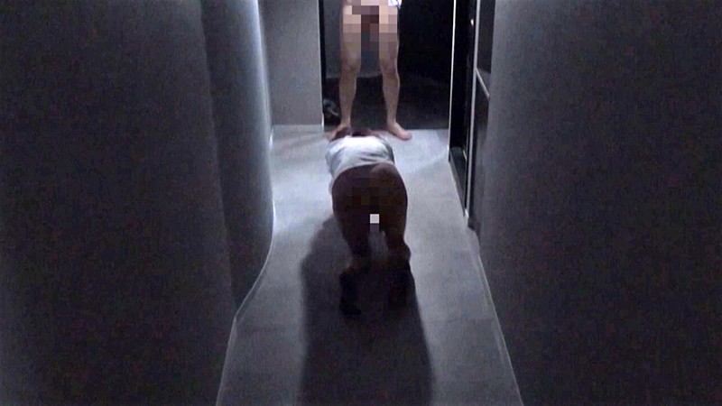 サンプル画像 12