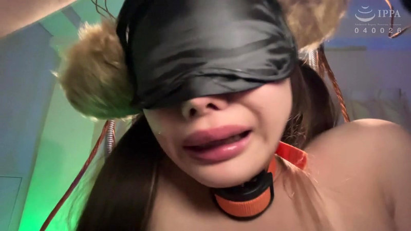 サンプル画像 15