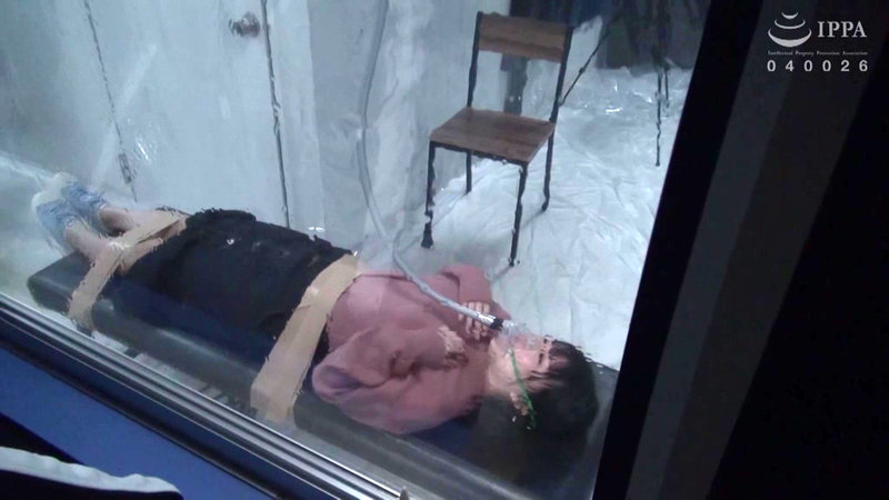 サンプル画像 3