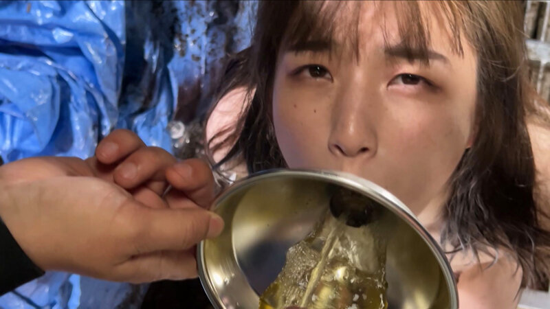 サンプル画像 16