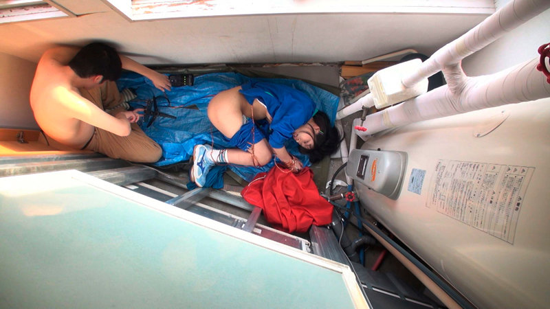 サンプル画像 8