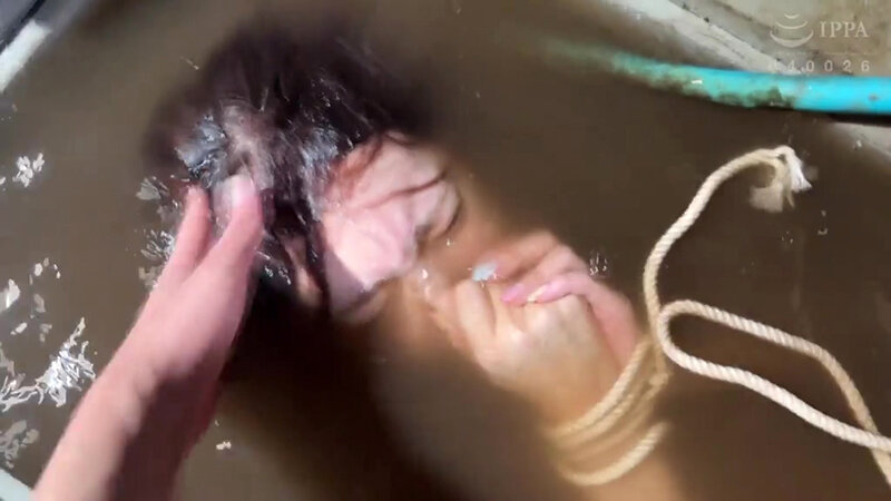 サンプル画像 15