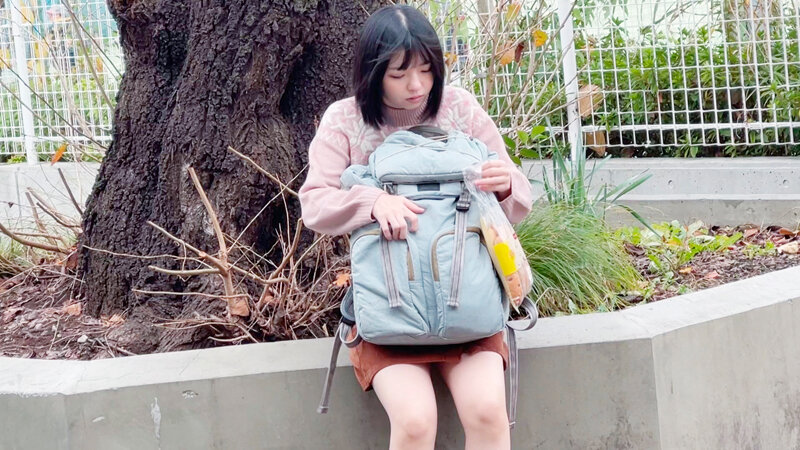 サンプル画像 3