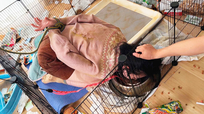 サンプル画像 4