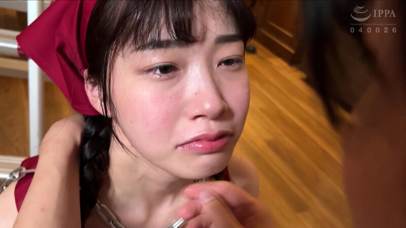 サンプル画像 9