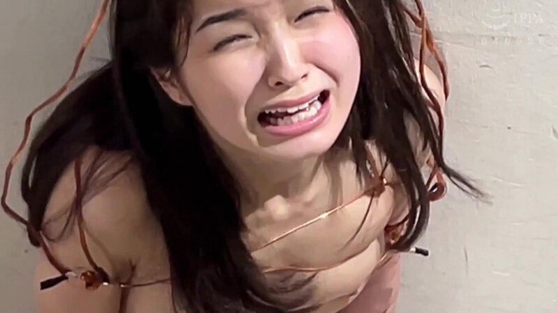 サンプル画像 8