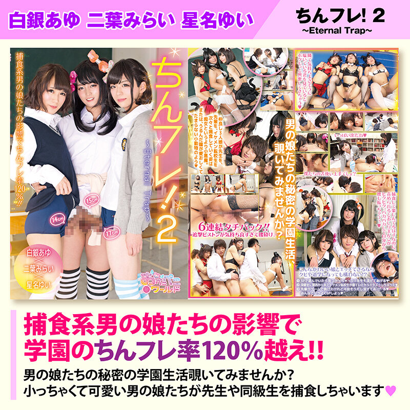 サンプル画像 13