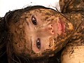 サンプル画像 24