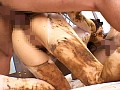 サンプル画像 38