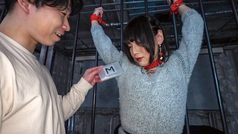 サンプル画像 8