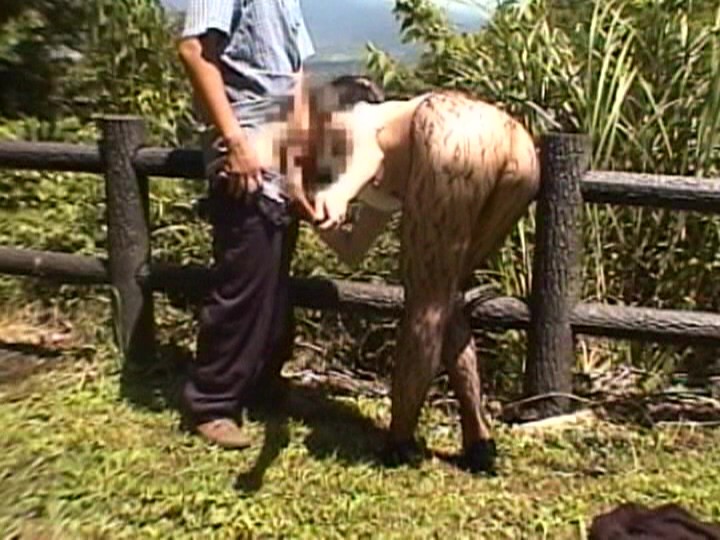 サンプル画像 7