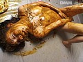 サンプル画像 18