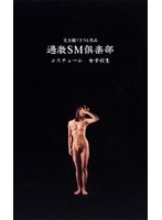 パッケージ画像